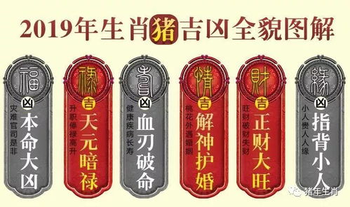 猪年生女命八字如何判断富贵？免费八字算命有哪些建议？