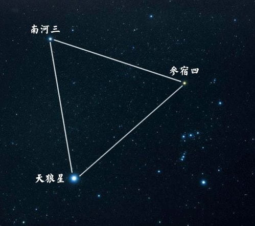 水瓶座：毫无目的——独立思考与知识探索