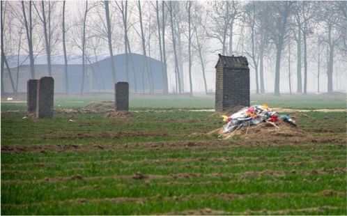 2. 灵气破坏与地气污染