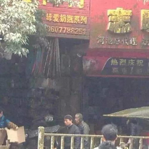三、 犯太岁的典型案例分析