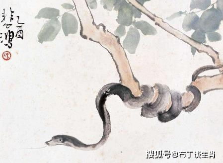 调适策略：人际网络与风水布局之双管齐下