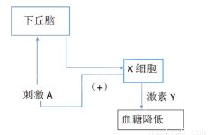 第一章：为何我们在茫茫人海中寻找那个符号？