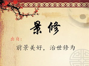 婕字系列：古韵与现代感兼备