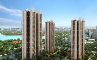 研究背景与目的