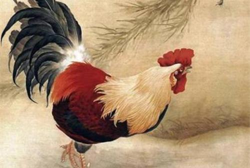 ：生肖与命理之“凤凰命”“市场价格较高人命”概念的学术阐释