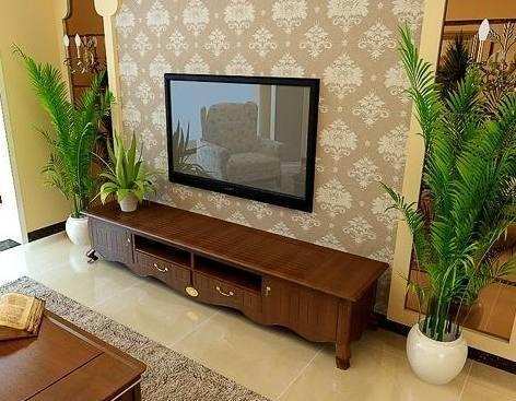 客厅摆放植物会影响风水运势吗？