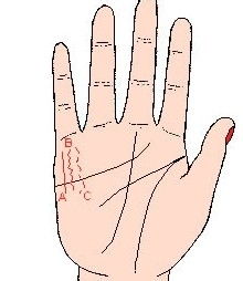 如何快速学会简单看手相技巧？