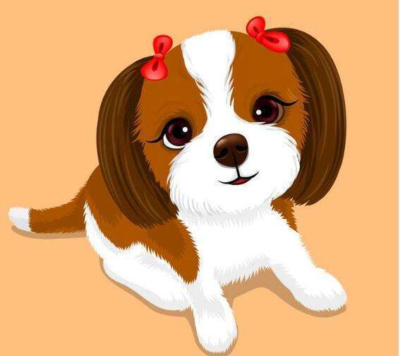 五、常见坑位（防止踩雷）