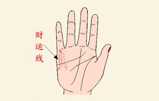 手相中金元宝形状的手相图解是怎样的？