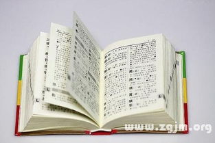 二、情绪化的梦想