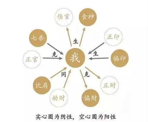 1.1 名称来源与概念内涵