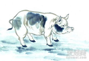 1972年属鼠女性在婚姻中最佳的配偶属相是什么？