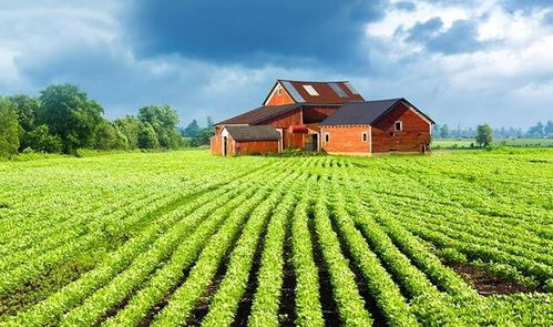 卧槽！梦见庄稼大丰收居然有这么多奇葩说法？！