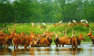 天气魔咒：龙王来了都得抑郁