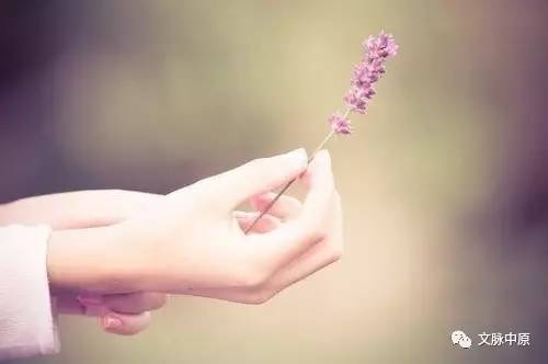 2026年属马女性感情运势如何，会有哪些变化和机遇？