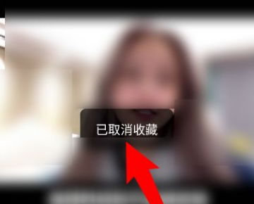 ：数字媒介中的情感投射与生肖风水的隐性关联