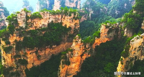 2. 张家界国家森林公园：迷路是常态