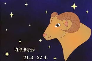 幸运数字：3（不是2也不是4）