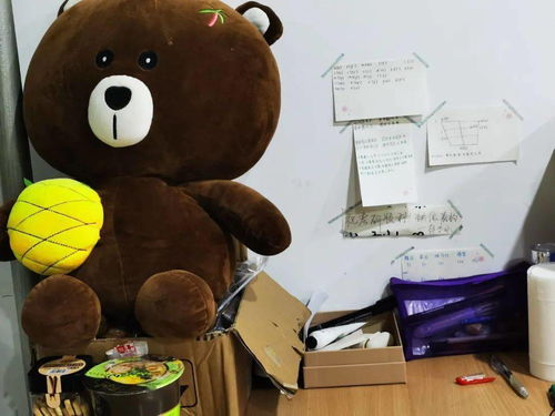 披星戴月指的是什么生肖动物？