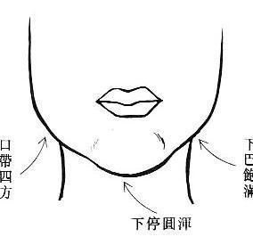 二、 面部轮廓：毅力坚韧与家庭责任感的体现