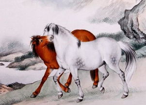 十二生肖属马各月运势排名具体是什么含义？