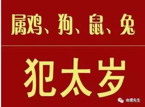 十二、 刑太岁期间的应对策略