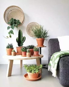 摆放位置可太讲究了！