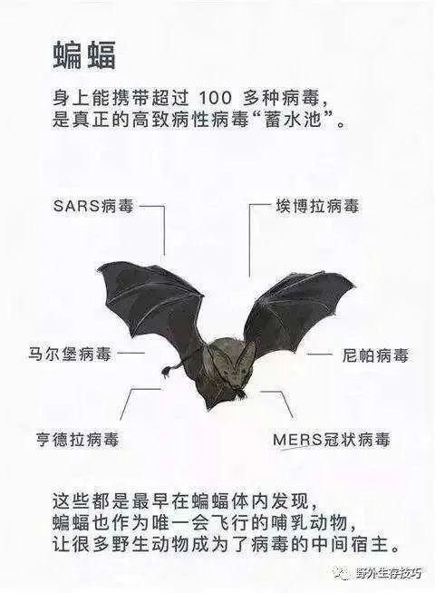 名字的文化底蕴气质与审美特征