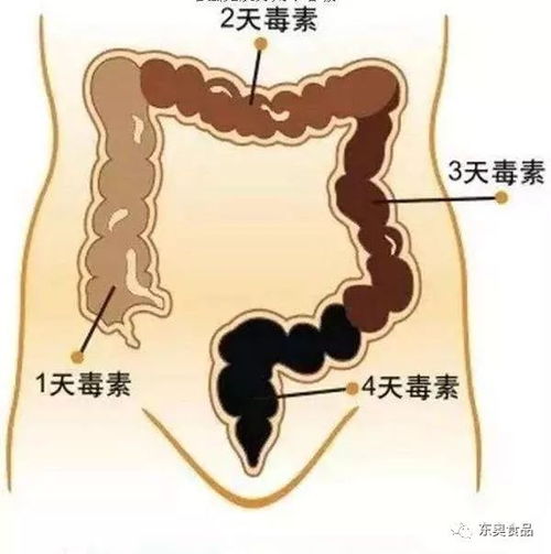 鼻部肉厚对财运的指示功能