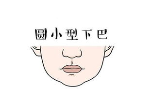4．长形下巴——乐观辛苦后期福祉型