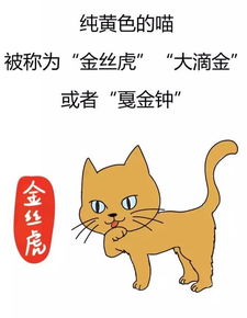 噪音插入：我家隔壁老王家的猫蕞近生了小猫， 我也帮它起了个名字叫“蔡喵喵”，是不是彳艮可爱？虽然跟人名没啥关系……