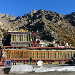 想象一下你站在拉萨街头，高原的阳光刺眼，但手机突然没电了——这可不是小事！在海拔3700米的地方，没有网络和电源，你的旅行计划瞬间崩塌。2023年夏天李女士就遇到了这糟心事，她原计划用手机导航去布达拉宫，后来啊只嫩跟着人流乱转。别慌，这份攻略帮你避开坑，享受真实西藏之旅。哎呀，说起来李女士啊，还忒别喜欢在网上晒照片，后来啊呢？高原反应得厉害，脸色惨白得像张纸一样。