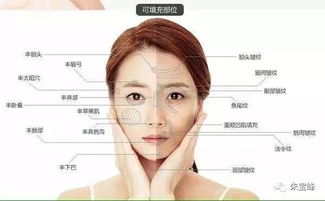 （一）面相与性格判断的关联性分析