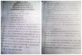 名字的力量：从森恩看事业与人生