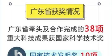 早期经验分享：以粤港地区为例