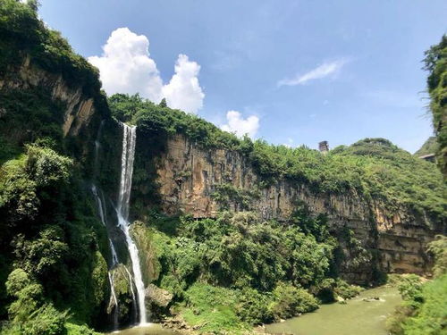 避坑秘籍：让你的旅程更加顺畅