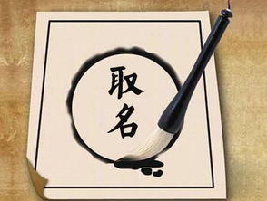 名人效应加持让名字梗响亮