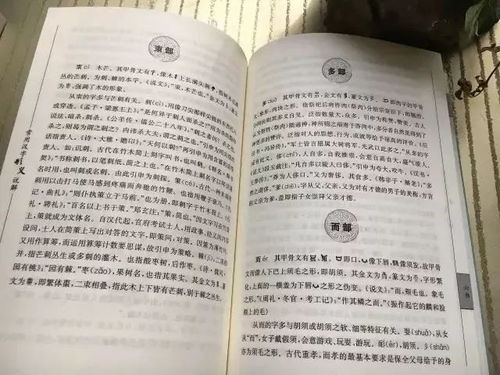 前言：一场惯与名字的混沌实验
