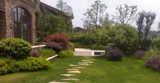 1. 圆形鱼池：和谐圆满与财运亨通