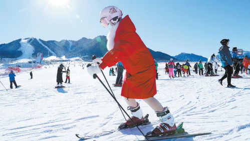 Ski Resort? 欧洲? 那些贵到吐血的地方！！！