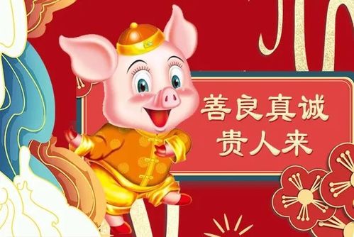 属猪人的性格有哪些缺点，是否会影响他们的社交和人际关系？