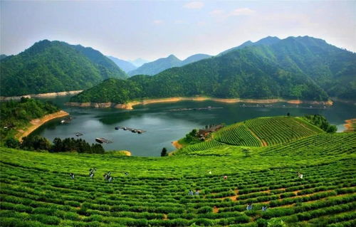 交通：折腾死你