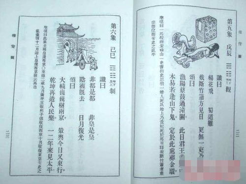 五、 探究结论与思考延伸