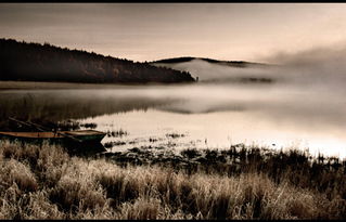 划船体验：一场“水上漂移”的惊魂记兼胳膊报废现场
