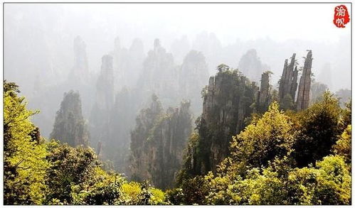 5. 宝峰湖：风景美如画， 蚊子多如麻