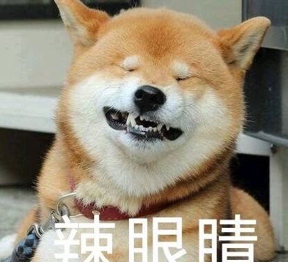 二、  礼遇之道：为属鼠女性精选心仪之礼