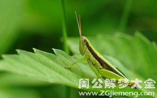 一、 疾病预警与公共卫生视角