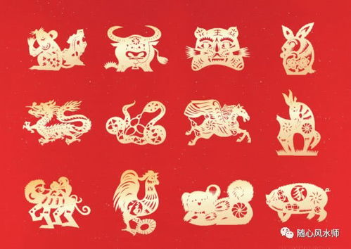 2026年属牛人有哪些注意事项和吉凶需要特别注意？