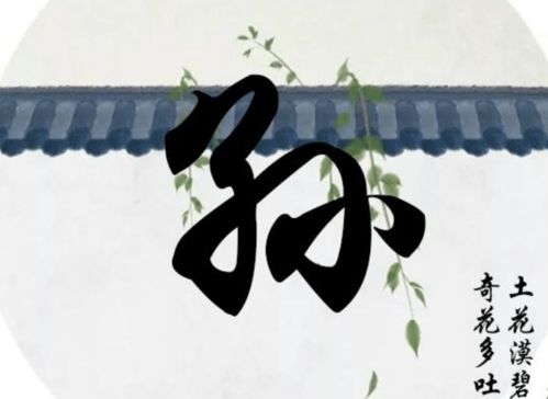 卜占智慧， 姓氏男孩起名的艺术