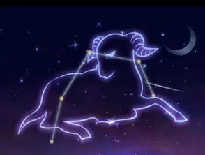 白羊座的幸运星座是哪个星座呢？